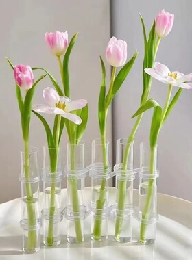 试管玻璃花瓶透明折叠网红ins水培花器郁金香组合一排摆件装饰品