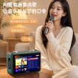 Shanshui voice intelligent karaoke machine Douyin three-year membership