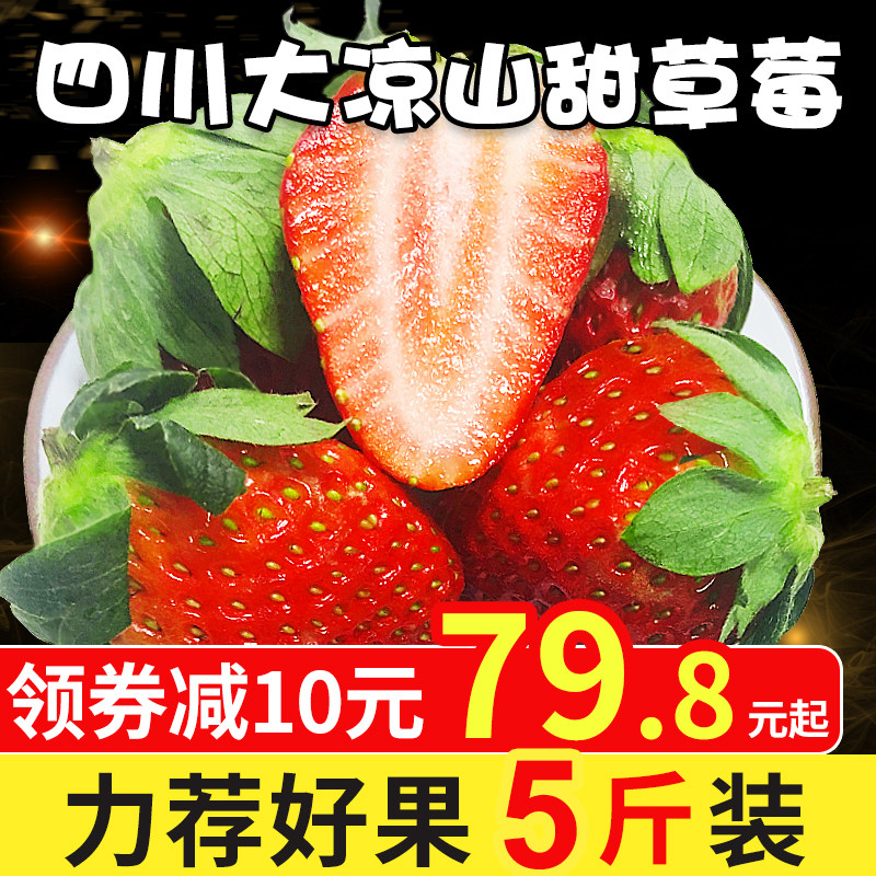 四川大凉山牛奶草莓 新鲜水果当季草莓应季奶油草莓整箱5斤包邮甜