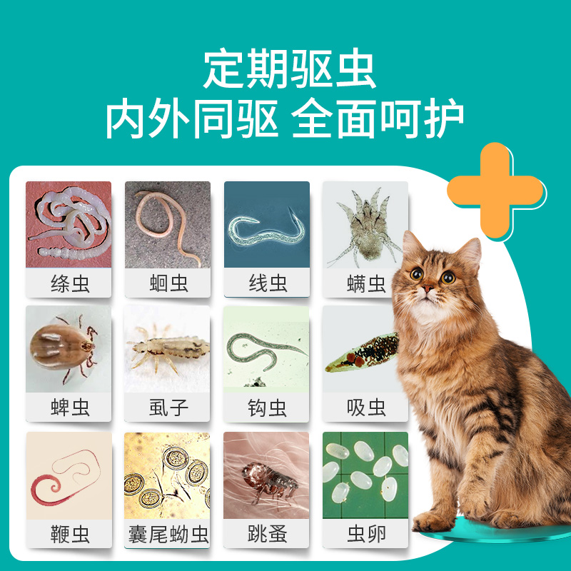 八牧猫咪狗狗驱虫药体内外一体小狗打虫药宠物泰迪金毛体内驱虫猫 - 图1