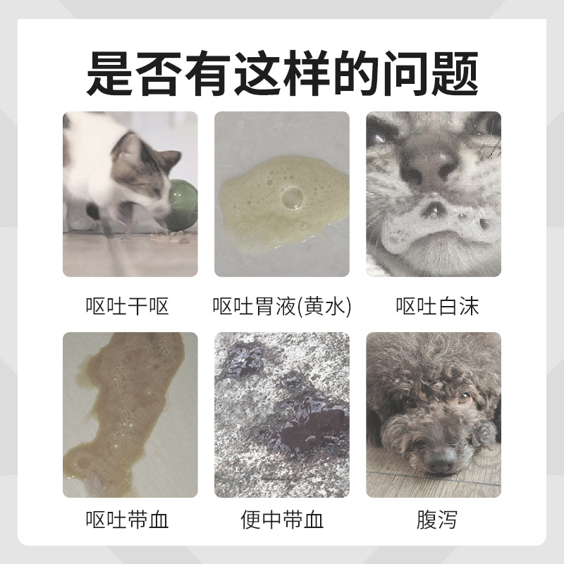 猫咪狗狗肠胃炎症药西咪替丁片狗猫用呕吐药吐黄水白沫护胃止吐药 - 图0