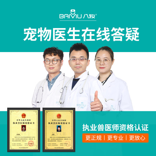 宠物小狗狗猫咪用体内体外一体内驱虫药专用阿苯达唑片幼猫幼犬用 - 图0