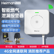 Hyman 4G Smart Gas Alarm Commercial Home Hotel Catering Gas Gas Liquefied Gas Leak Detection