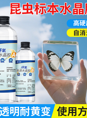 树叶昆虫标本制作高清通透