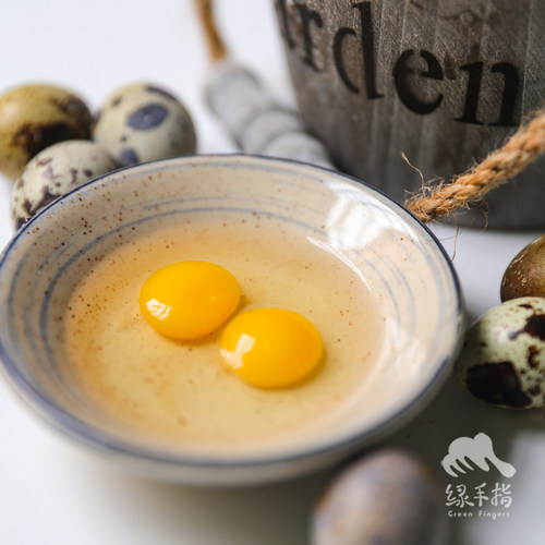 生态鹌鹑蛋1kg新鲜孕妇宝宝辅食 绿手指份额农园 - 图0