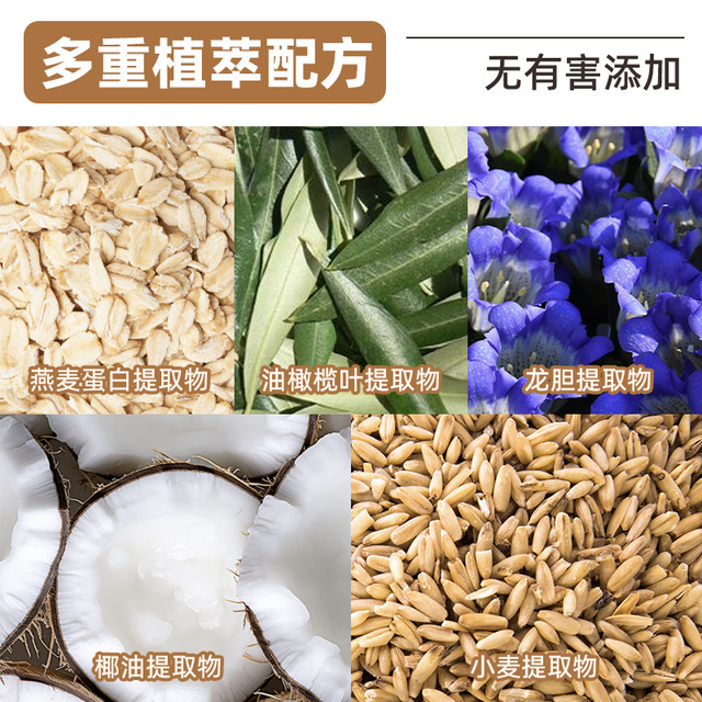 OwOCare Pet No-Rinse Mousse Dog and Cat Care