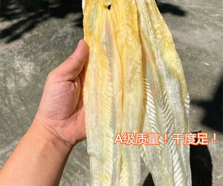 厚肉大鱼唇干 鱼皮 鲨鱼皮干 煲汤海味佛跳墙海产干货 500克装 - 图0