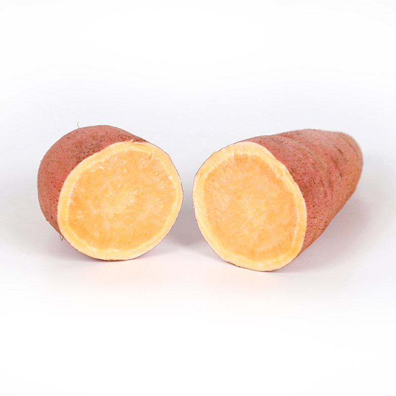 沙地六鳌带箱5斤装农家新鲜红薯 锦华隆番薯