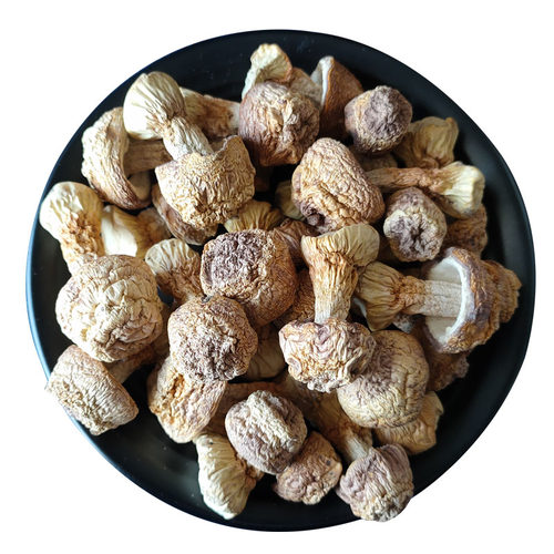 姬松茸干货 500g 云南特产无硫巴西菇食用野生菌菇松茸搭配羊肚菌 - 图3