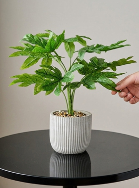 北欧简约桌面仿真绿植盆栽