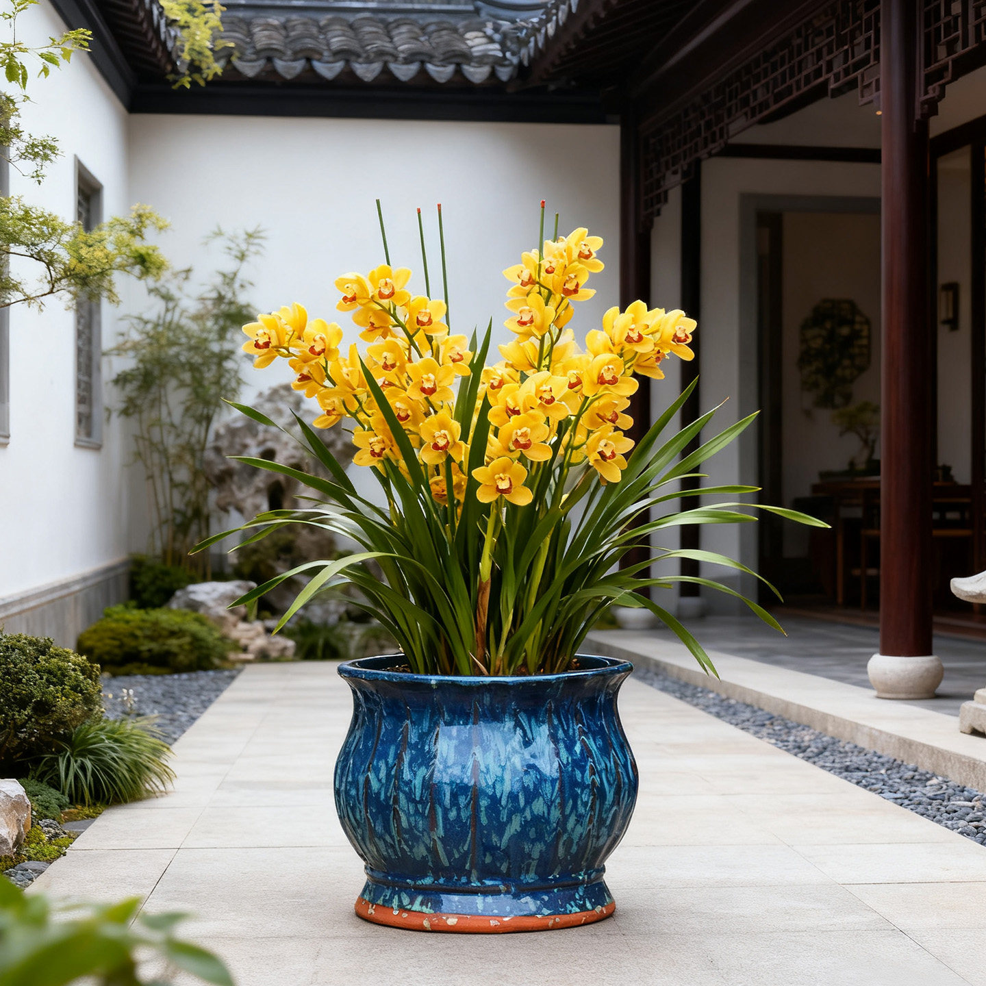 特价大口径花盆三角梅兰花绿植粗陶陶罐月季老桩多肉花卉花盆陶瓷,淘宝优惠券,粉丝福利购,淘宝优惠卷