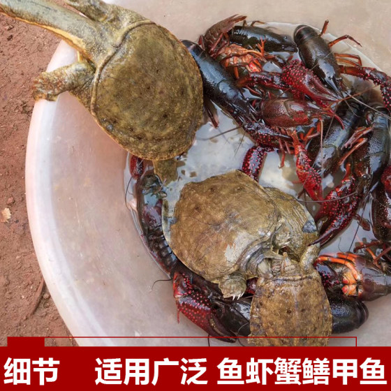 Foldable shrimp pot fishing net with easy entry and difficult exit for fish on both sides