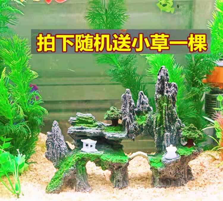买水草 新人首单立减十元 21年8月 淘宝海外