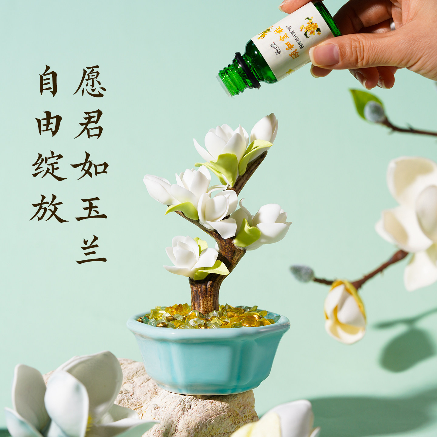 上新了故宫玉兰盆景香薰礼盒摆件持久精油阔香石女友乔迁生日礼物,淘宝优惠券,粉丝福利购,淘宝优惠卷