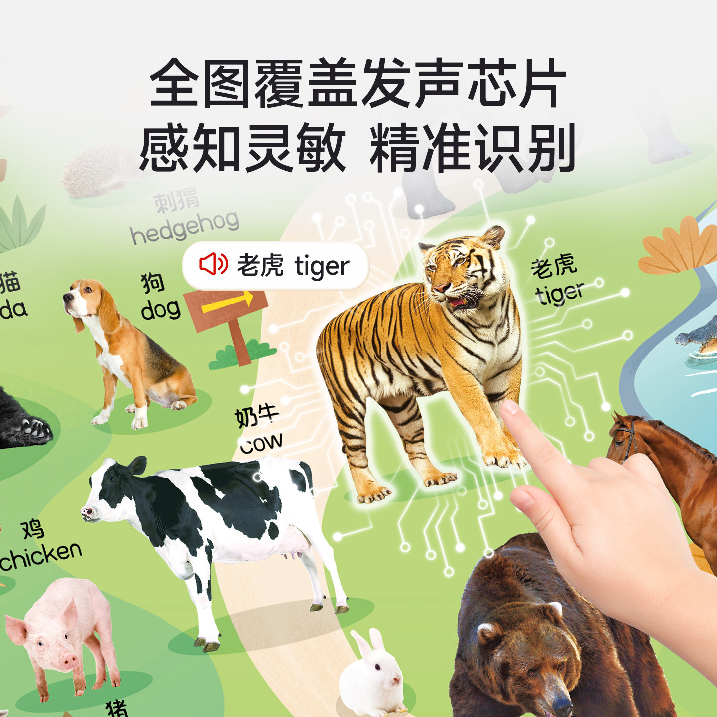 小儒童宝宝有声早教书挂图婴幼儿童学习认知发声点读学习启蒙玩具,淘宝优惠券,粉丝福利购,淘宝优惠卷