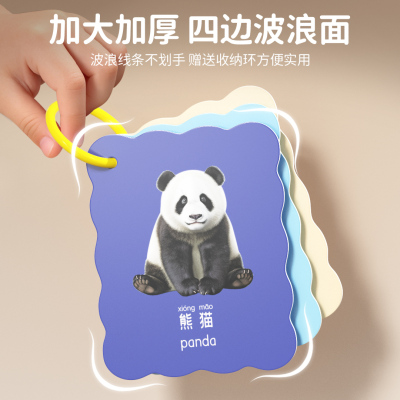 婴幼儿早教认知闪卡益智启蒙玩具