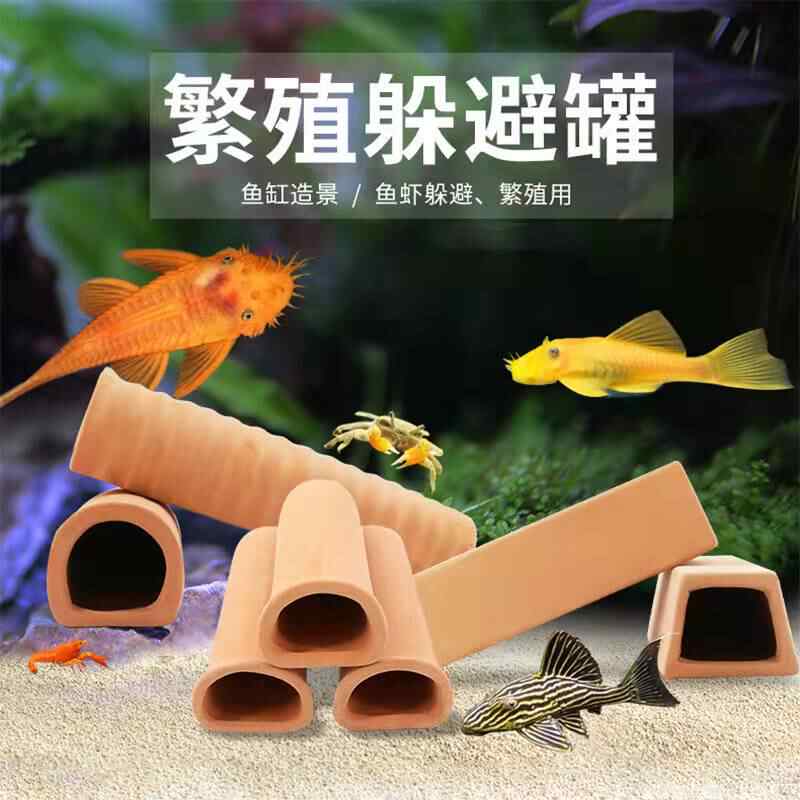 异形繁殖罐 新人首单立减十元 22年9月 淘宝海外