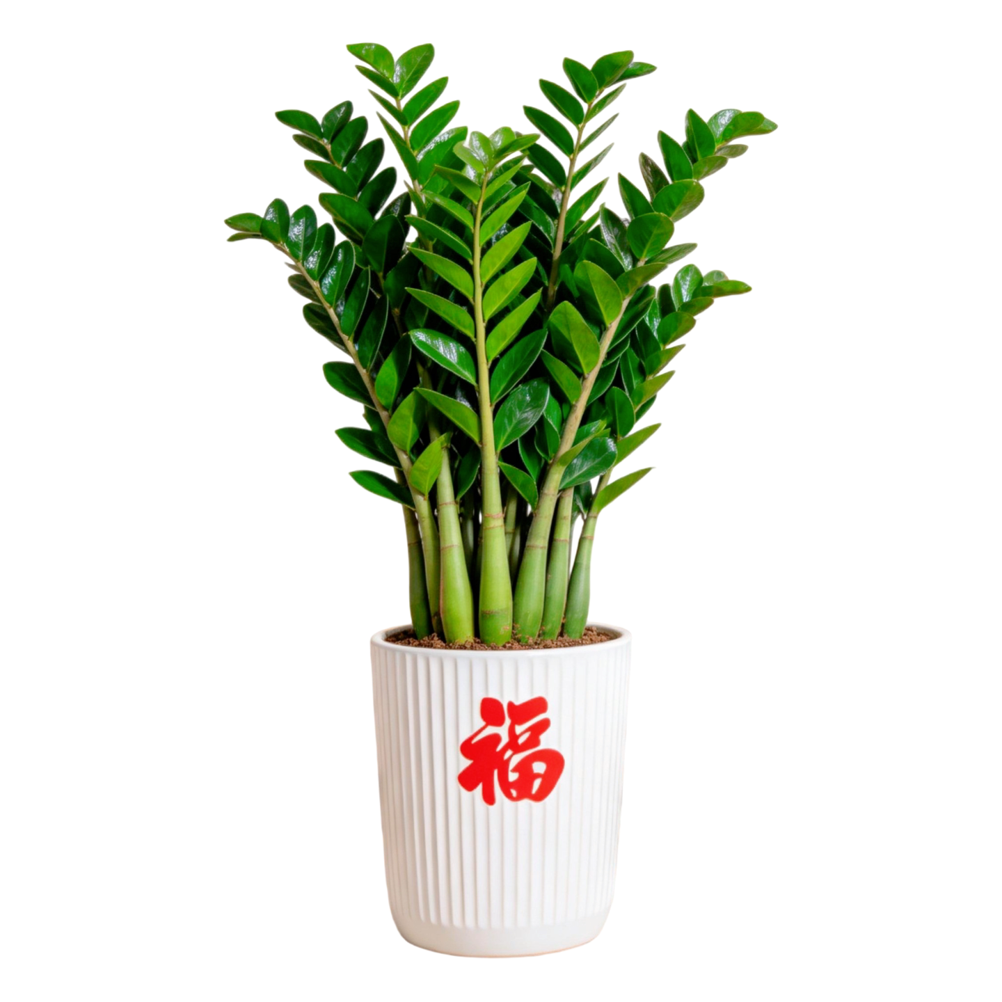 图5