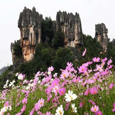 云南旅游6天5晚昆明石林丽江大理玉龙雪山蓝月谷洱海双廊旅拍动车-图1