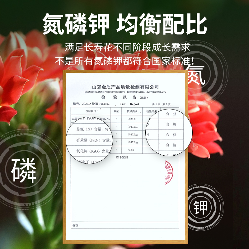 长寿花肥料开花养花促花长寿花专用肥料长寿花营养液营养颗粒肥