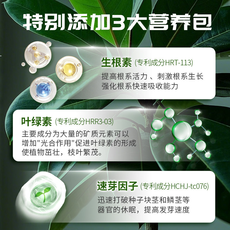 橡皮树肥料专用橡皮树营养液专用肥防黄叶落叶烂根专用颗粒肥,淘宝优惠券,粉丝福利购,淘宝优惠卷