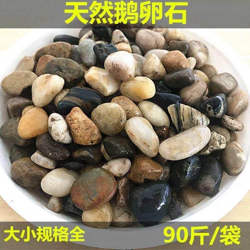 水处理过滤鹅卵石 豆石 地暖找平 砾石滤料河垫层雨花石填料 多肉 - 图0