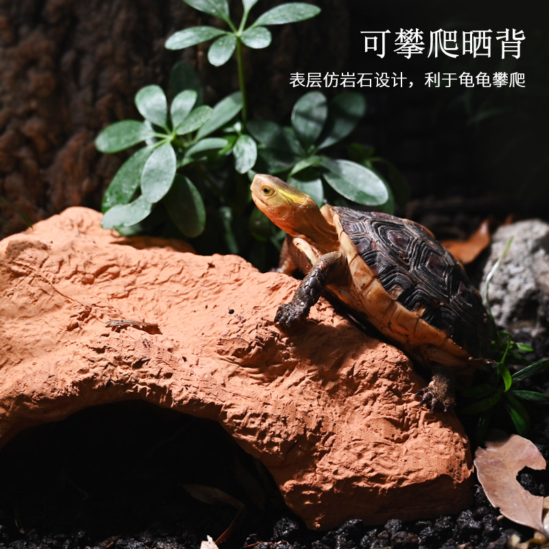 黄缘乌龟躲避洞天然陶土瓦片晒背台鱼虾躲避屋爬宠饲养箱环境造景,淘宝优惠券,粉丝福利购,淘宝优惠卷