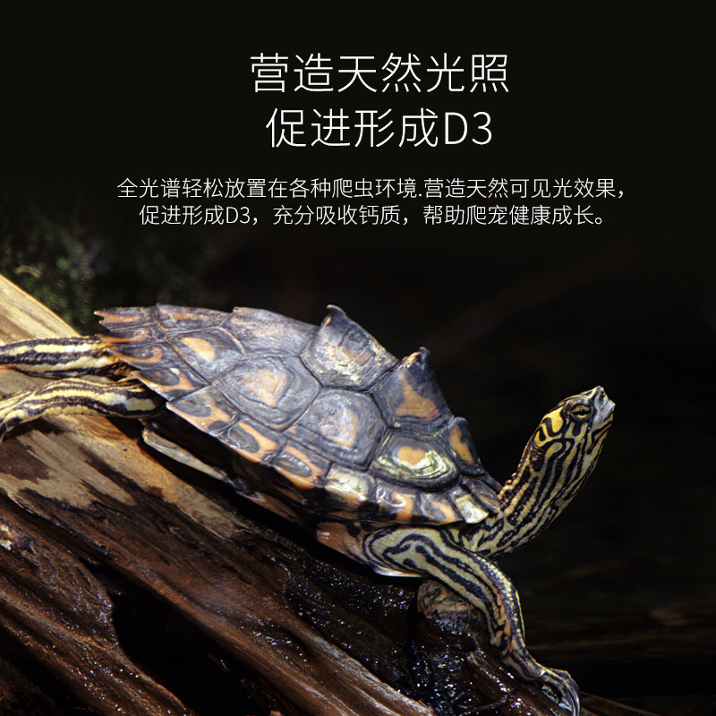 酷爬乌龟专用晒背灯泡uva加热补钙太阳灯uvb全光谱龟缸用太阳灯,淘宝优惠券,粉丝福利购,淘宝优惠卷