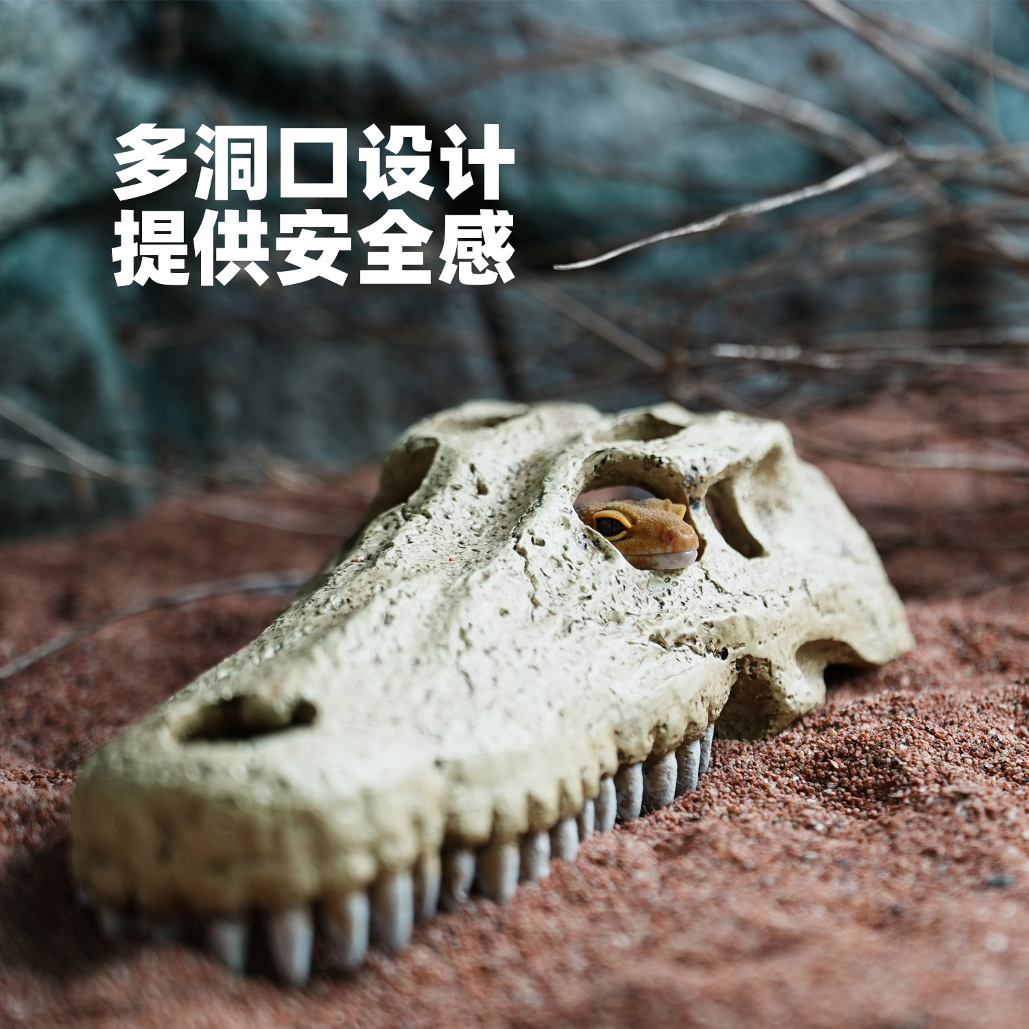 爬宠专用头骨躲避洞屋守宫蜥蜴蜘蛛蛇饲养箱鱼缸水族造景装饰摆件,淘宝优惠券,粉丝福利购,淘宝优惠卷