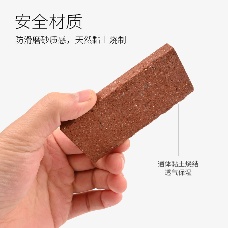 乌龟生态造景砖黄缘龟安缘半水龟环境装饰苔藓植物饲养箱摆件用品,淘宝优惠券,粉丝福利购,淘宝优惠卷