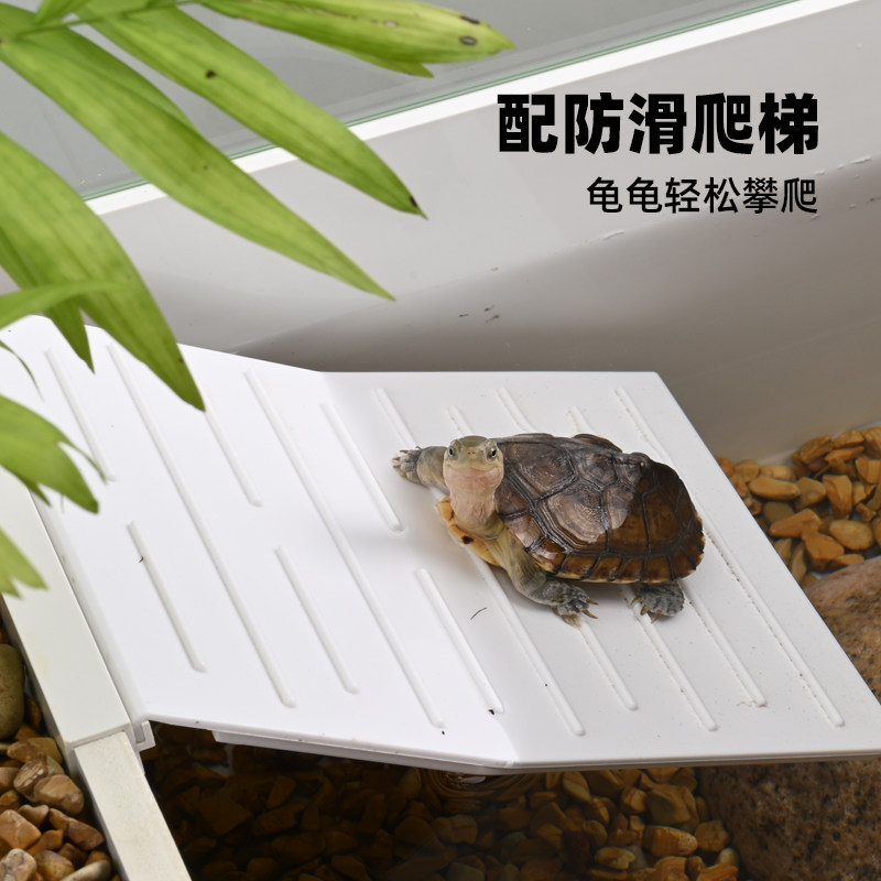 养乌龟专用爬梯晒背平台特大号深水缸高水位休息躲避屋生态造景,淘宝优惠券,粉丝福利购,淘宝优惠卷