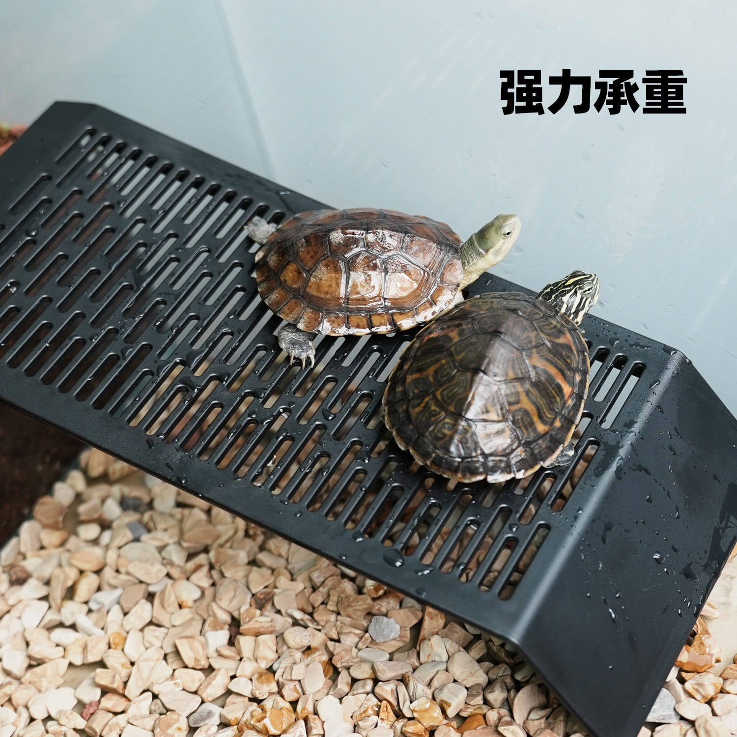乌龟缸水陆专用爬坡板沙池爬梯周转箱进出晒背爬架深水晒台斜坡,淘宝优惠券,粉丝福利购,淘宝优惠卷