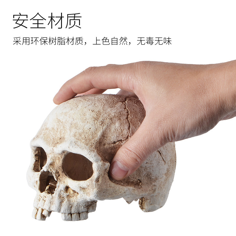 爬宠骷髅头骨躲避洞窝蜥蜴蛇守宫爬虫箱乌龟鱼缸水族造景装饰用品,淘宝优惠券,粉丝福利购,淘宝优惠卷