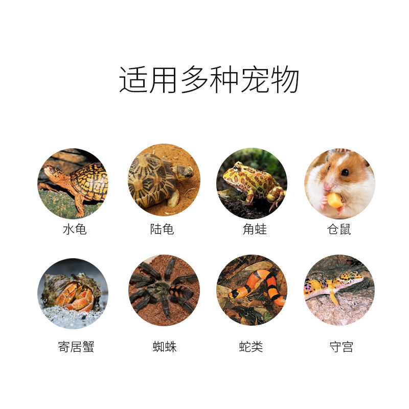 爬虫陶瓷无光加热保温灯泡陆龟蜥蜴宠物蛇刺猬鹦鹉饲养箱加热器,淘宝优惠券,粉丝福利购,淘宝优惠卷