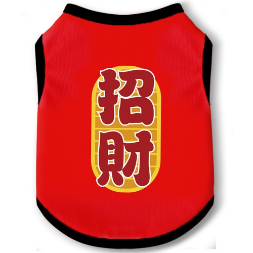 Три -летний магазин шесть размеров кошек, празднующих собак Тедди Тедди осенью и зимней одеждой, маленький собачье питомец Bomei 2023 Новый Bien Bears Puppy Новый год