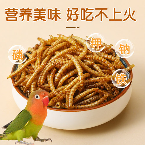 鹦鹉零食训练奖励专用啃咬上手磨牙牡丹虎皮小鸟磨嘴增肥面包虫干 - 图2