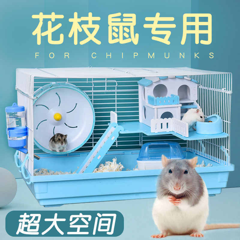 小仓鼠的笼子 新人首单立减十元 22年8月 淘宝海外