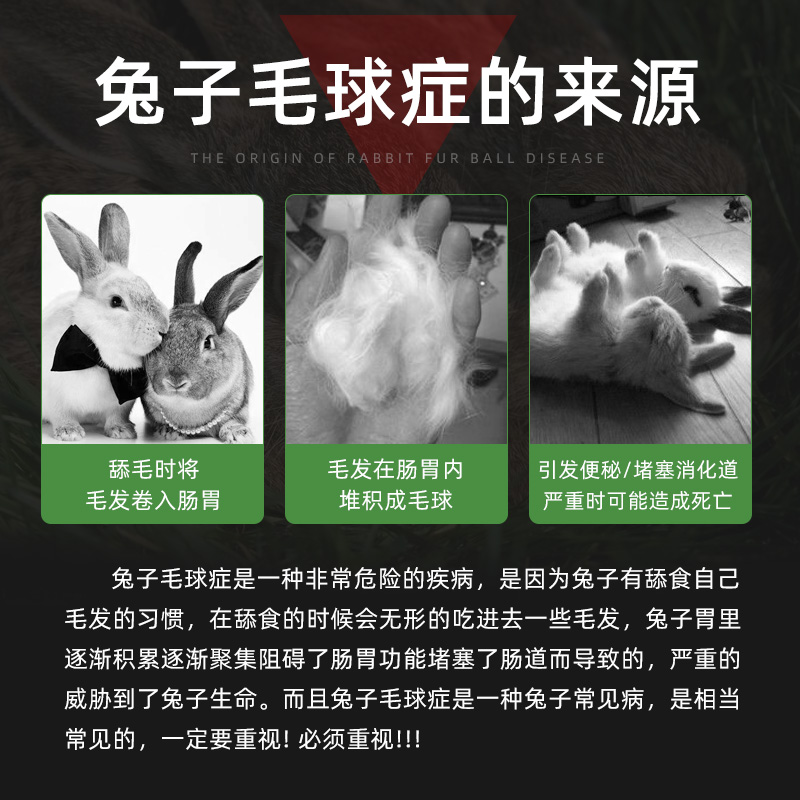 兔子木瓜化毛丸仓鼠龙猫荷兰猪化毛膏排毛球吃的小零食营养用品80-图1