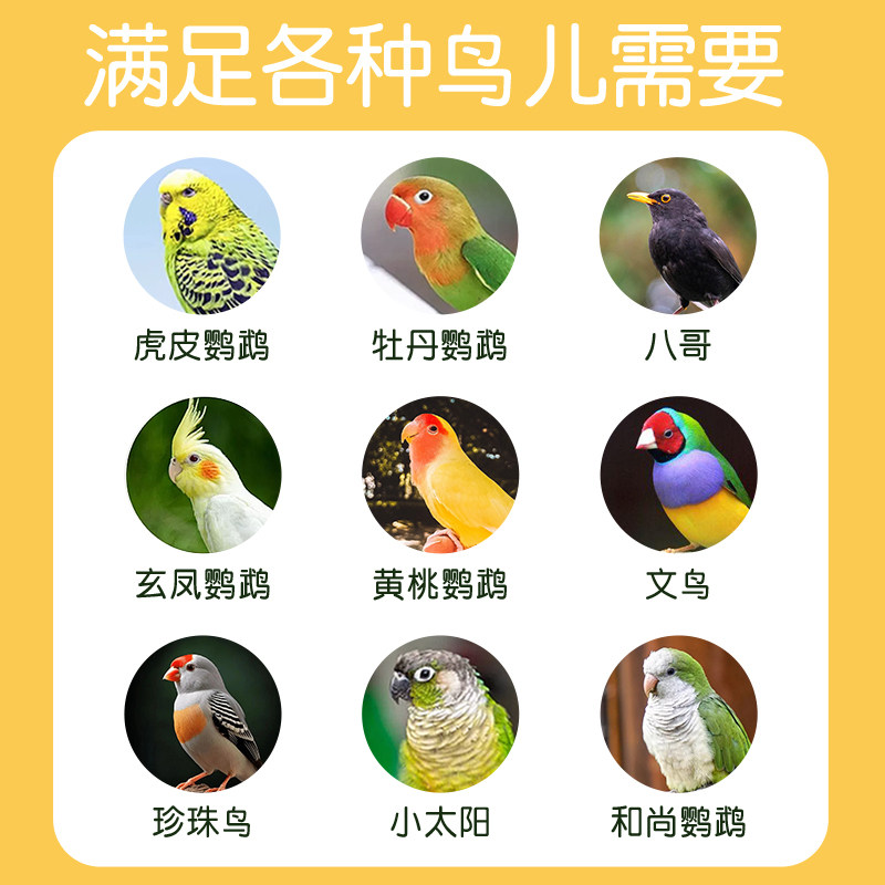 鹦鹉磨砂站杆玄凤虎皮和尚专用磨牙棒定点排便站架鸟笼磨爪站杆棍,淘宝优惠券,粉丝福利购,淘宝优惠卷