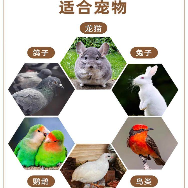 鸟窝鸽子巢窝鹦鹉牡丹虎皮玄凤鸟类草窝四季通用专用品大全孵下蛋,淘宝优惠券,粉丝福利购,淘宝优惠卷