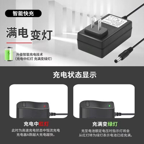 12.6V16.8V18V21V25.2V2A手电钻锂电池充电器通用电动螺丝刀扳手 - 图0