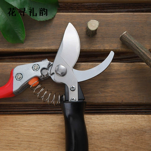 花寻礼韵 Ножницы для садоводства, филиалы, обрезка и обрезка ножницы цветочного искусства из нержавеющей стали, чтобы обрезать ветви