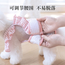 Mother dog physiological pants small dog teddy Bears anti-male dog molestation Pet Moon Menstrual Lace Aunt Pants Sanitary Napkins