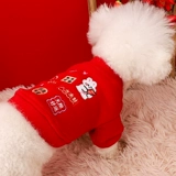 Собачья одежда Shineri Bomeki Corki День маленьких собак Вступление в золотой свитер