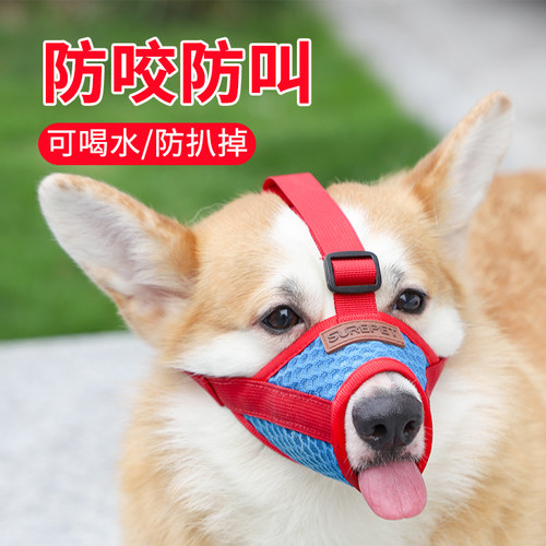 狗狗嘴套防咬防叫小型犬专用扒不掉防咬人透气网格嘴罩柯基约克夏 - 图1