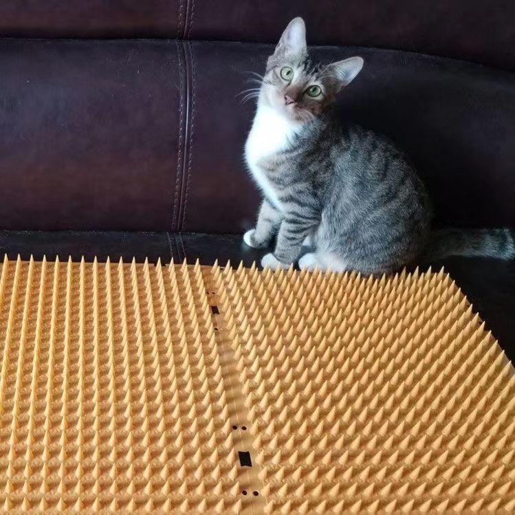 三轮车防猫神器橙色防猫刺垫 阻止猫咪爬床爬沙发有颜色易于看 简,淘宝优惠券,粉丝福利购,淘宝优惠卷