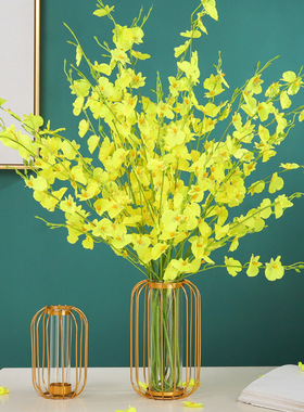 铁艺几何玻璃试管灯笼水培花瓶家居客厅酒柜桌面装饰绿萝花插摆件