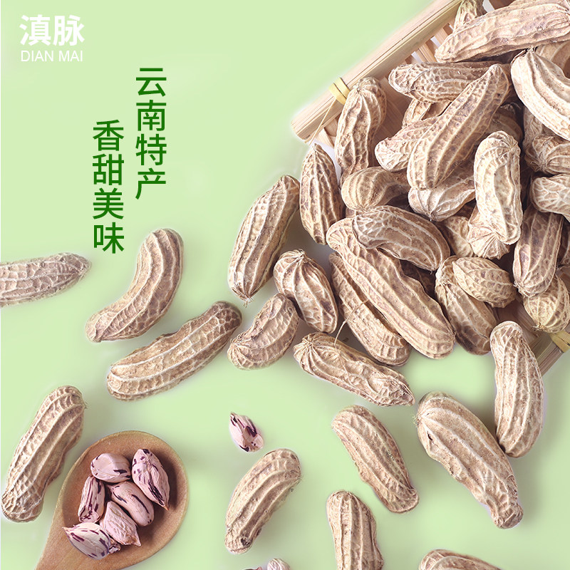 滇脉云南七彩带壳炒熟新鲜生花生 滇脉花生