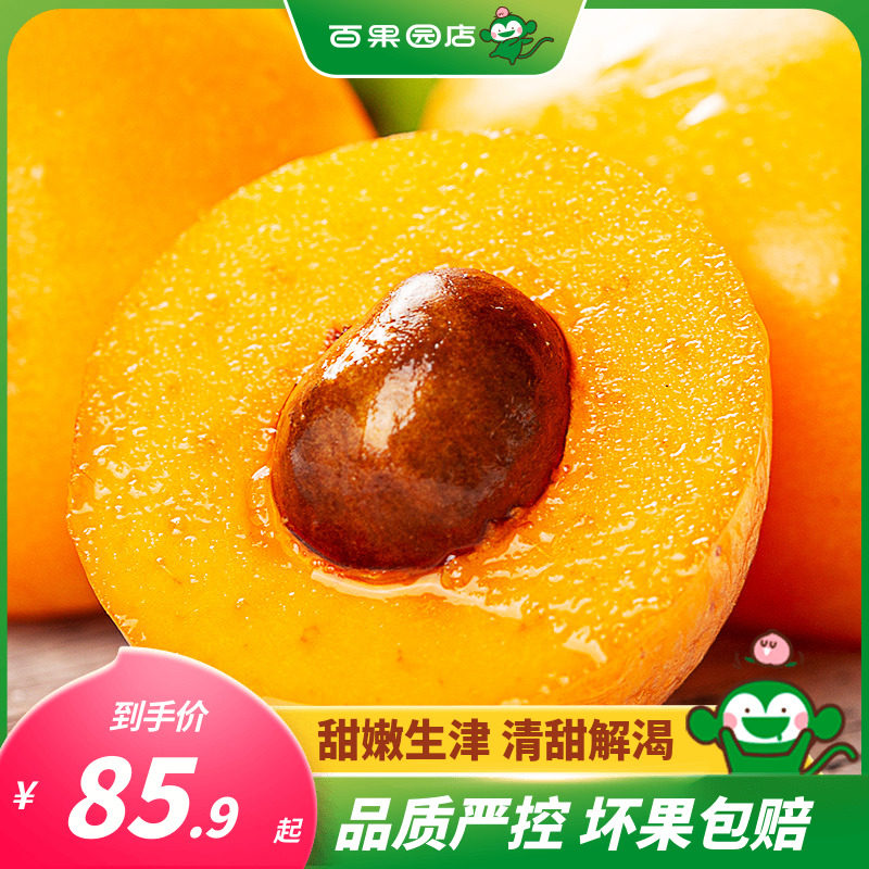 【百果园店】攀枝花五星枇杷3/5斤四川新鲜当季水果整箱枇杷包邮