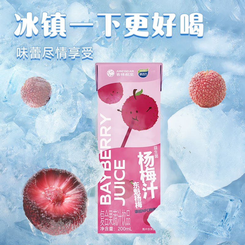 【交个朋友年货节】味动力益生菌杨梅汁200ml*12瓶装解腻解渴饮料